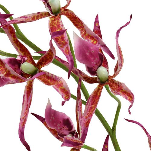 Artikel Spider orchideeën roze-oranje 108cm 3st