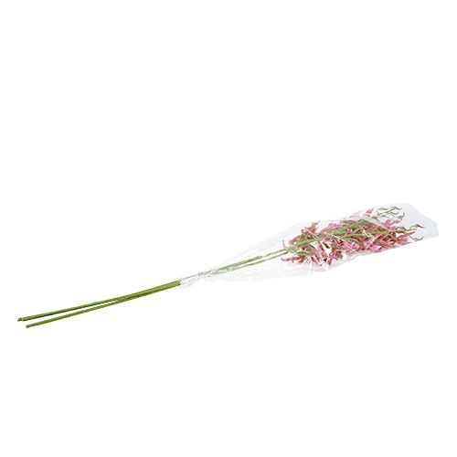 Floristik24 Spider orchideeën roze-oranje 108cm 3st