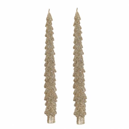 Floristik24 Taps toelopende kaarsen spar goud metallic 30mm × 260mm 2st