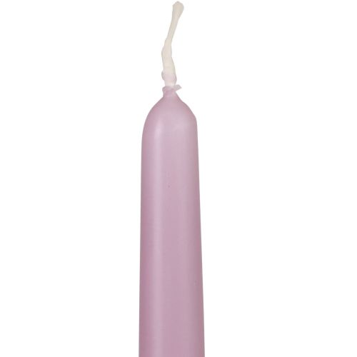 Floristik24 Conische kaarsen Wenzel kaarsen lila 250/23mm 12 st