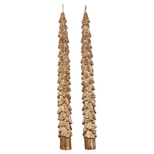 Floristik24 Taper Kaarsen Bruin Metallic Kaarsen Kerstkaarsen 25cm 2st