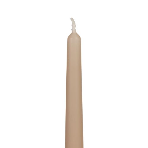Floristik24 Conische kaarsen Wenzel kaarsen beige 250/23mm 12 st