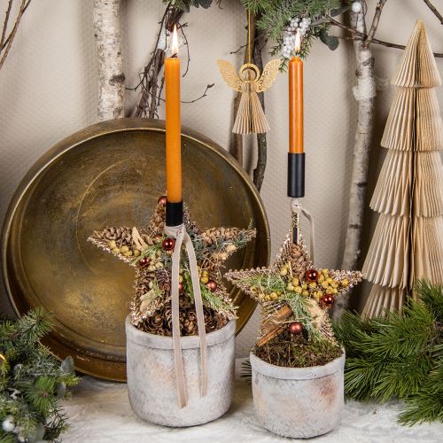 Artikel Gedroogde gemberdecoratie natuurlijke decoratie 500g