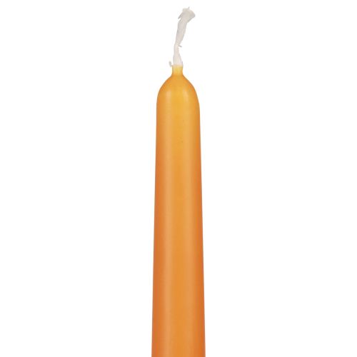 Artikel Conische kaarsen Wenzel kaarsen oranje 250/23mm 12 st