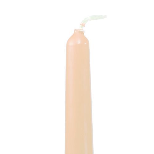 Floristik24 Conische kaarsen 250/23 crème 12st.