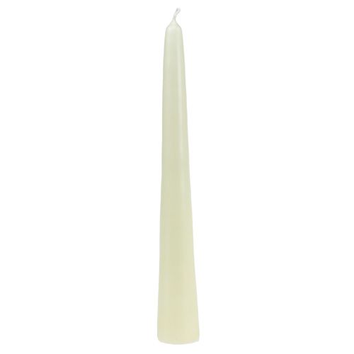 Floristik24 Puntkaarsen 300/40 8st. wollweiß