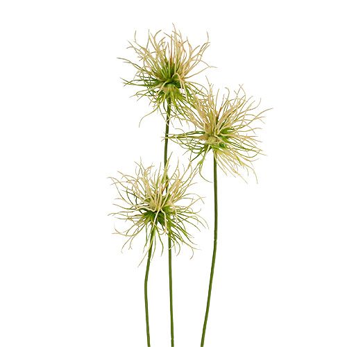 Floristik24 Klittakken creme-groen 63cm 4st