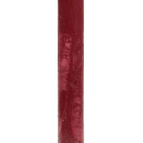 Floristik24 Kaars 21mm x 300mm donkerrood doorgeverfd 12st