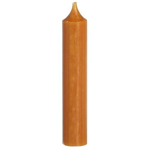 Floristik24 Taper kaarsen korte waskaars in karamel 21x110mm 6 st