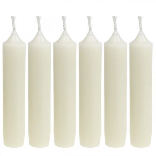 Floristik24 Staafkaarsen kort Kaarsen creme voor arrangementen Ø22/110mm 6st