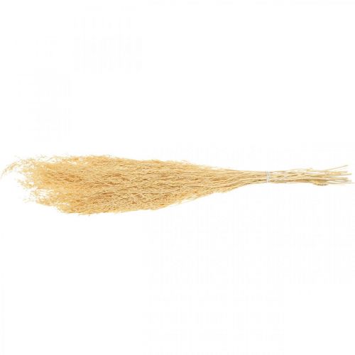 Floristik24 Gedroogde Zee Lavendel Crème Statice Droog Deco 100g