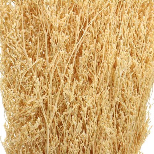 Floristik24 Gedroogde Zee Lavendel Crème Statice Droog Deco 100g