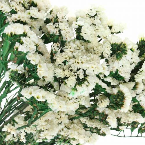 Floristik24 Bos droogbloemen lamsoor wit 40–55cm 120g