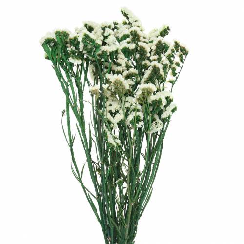 Floristik24 Bos droogbloemen lamsoor wit 40–55cm 120g