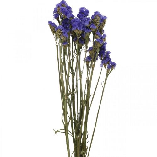 Floristik24 Bosje Zeelavendel, Gedroogde Bloemen, Zeelavendel, Statice Tatarica Blauw L46–57cm 23g