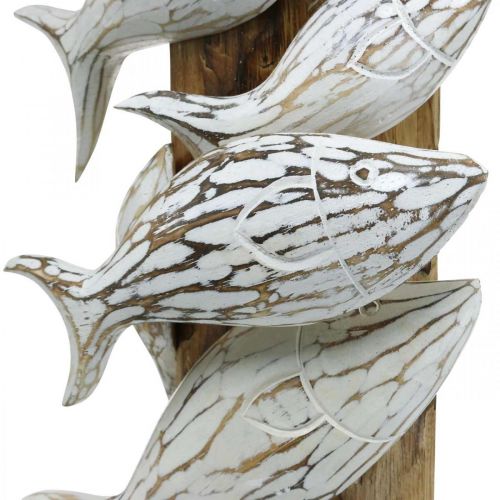 Floristik24 Decoratieve vissen staande houten school vissen Maritieme decoratie 59cm