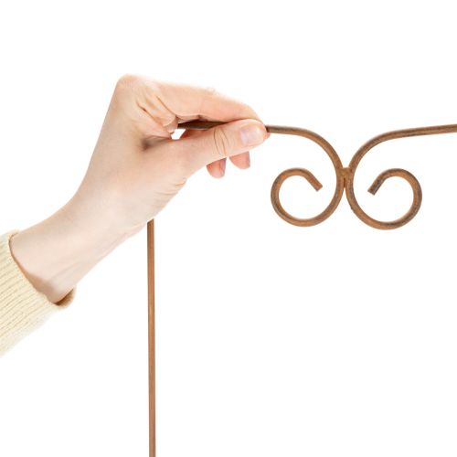 Artikel Klimrek, gebogen decoratief element voor bloemperken en plantenpotten, 75 cm