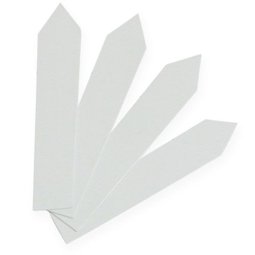 Plaklabels 20mm x 140mm 250 stuks