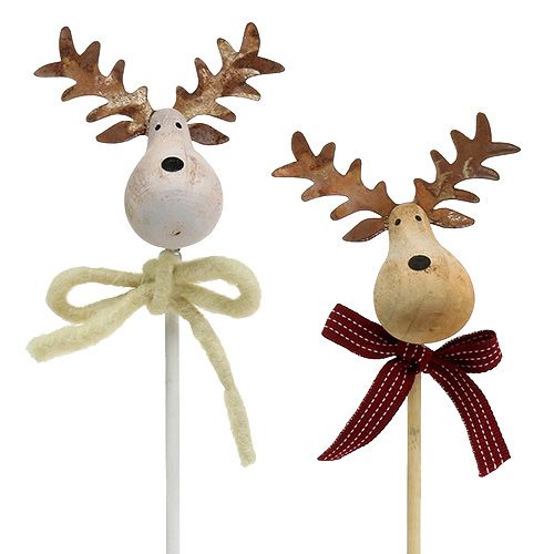 Floristik24 Moose plug naturel, wit 7cm L30cm 8st