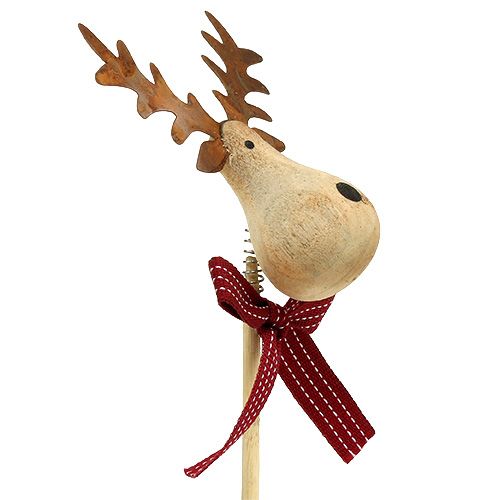 Floristik24 Moose plug naturel, wit 7cm L30cm 8st