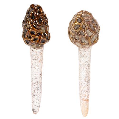 Kunstmatige morieljes als decoratieve stokjes voor plantenpotten en tafel, 13 cm, 2 stuks kopen | Floristik24.nl