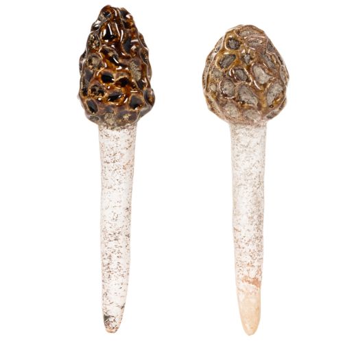 Kunstmatige morieljes als decoratieve stokjes voor plantenpotten en tafel, 13 cm, 2 stuks | Floristik24.nl