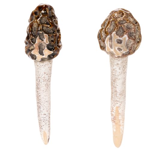 Kunstmatige morieljes als decoratieve stokjes voor plantenpotten en tafel, 13 cm, 2 stuks | Floristik24.nl