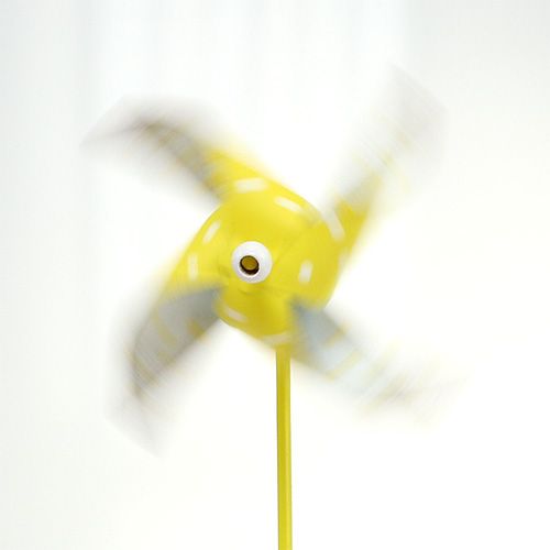 Floristik24 Plug windmolen Ø9,5cm 6st