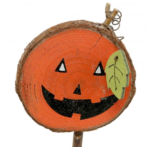 Floristik24 Plug pompoen naturel, oranje 8cm 12st