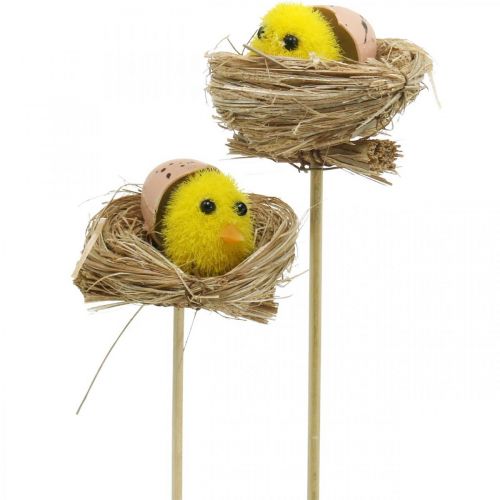 Floristik24 Decoratieve plug kuikens in het nest Paasdecoratie voor pluggen Ø6cm 6 stuks