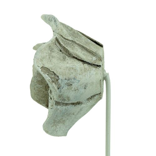 Floristik24 Stekkerrozen assorti. Ø5,5cm L19cm 4 stuks
