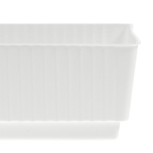 Floristik24 Stekkerdoos natschuim 23 x 8 x 4,5 wit 10 stuks