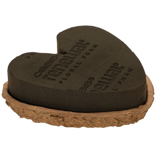 Bloemenschuim hart OASIS® Renewal® Bloemenschuim Biolit® 18cm 2 stuks