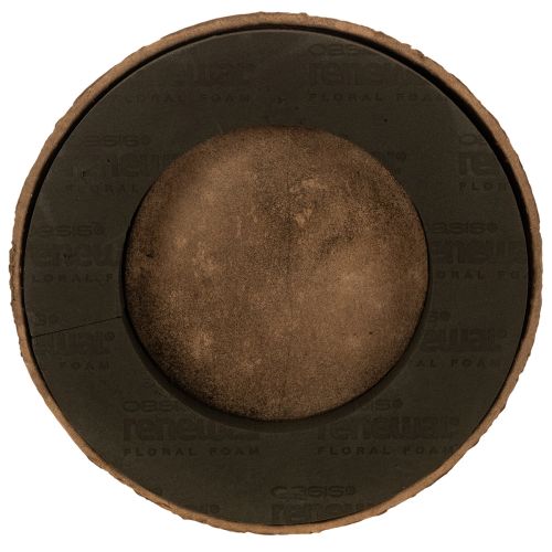 Bloemenfoam ring met voet OASIS® Renewal® Bloemenfoam Biolit® 38cm 2 stuks kopen | Floristik24.nl
