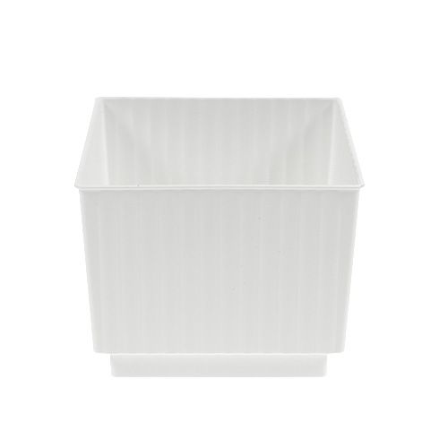 Kubus voor steekschuim 6.5cm wit 20st