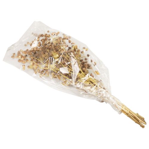 Artikel Droogbloemen decoratie decoratieve takken Stefani tak 95cm 200g