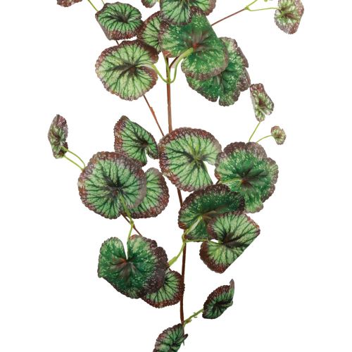 Floristik24 Steenbreek sierslinger kunstgroen Saxifraga 152cm