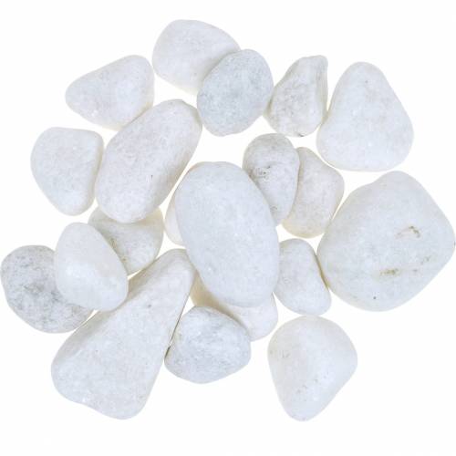 Floristik24 River Pebbles Naturel Wit 3-5cm 1kg