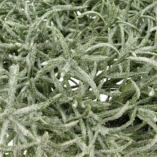 Floristik24 Sierkrans Ø30cm met glitter groen