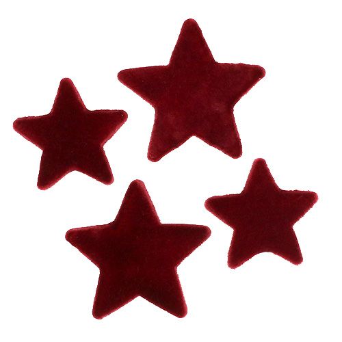 Floristik24 Kerstdecoratie sterren bordeaux geflockte tafeldecoratie 4–5cm 40 st