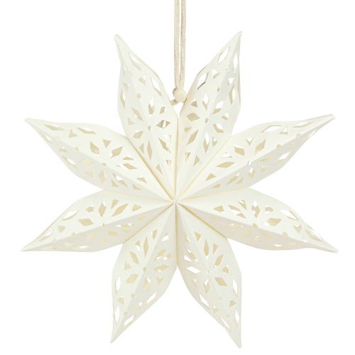 Artikel Decoratief hangerpapier ster sneeuwvlok in wit Ø20cm 6 st