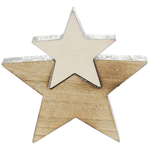Floristik24 Houten ster natuur 18cm