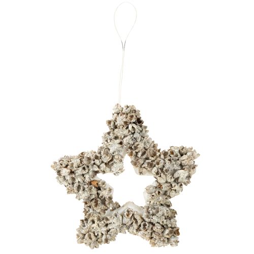 Artikel Ophangster kerstdecoratie wit, glitter Ø15cm