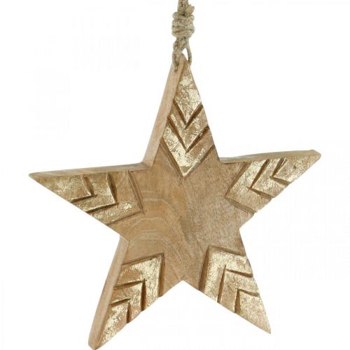 Artikel Ster mangohout naturel, gouden houten ster Kerstmis 19,5cm 3 st