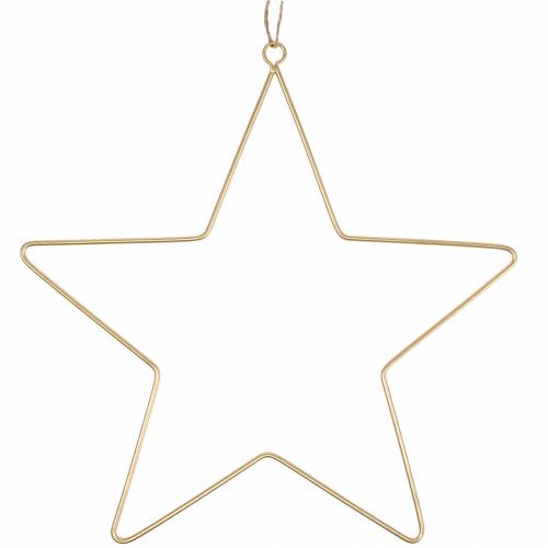 Floristik24 Decoratieve ster om op te hangen goudkleurig metaal Ø50.5cm 2st