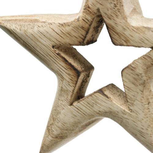 Floristik24 Houten sterren om mangohout op te hangen 10,5–11,5 cm 8 st