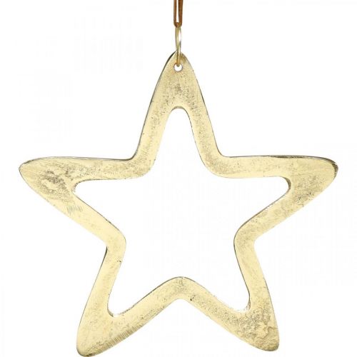 Floristik24 Kersthanger, sterdecoratie voor Advent, decoratie ster goud 14 × 14cm