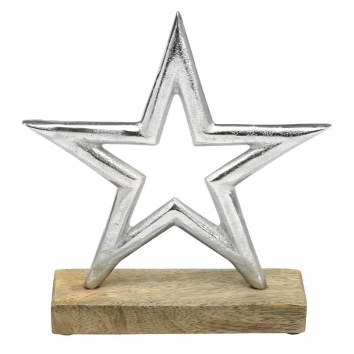 Floristik24 Staande ster mango, metaal zilver 21 × 16,5 cm