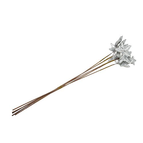 Floristik24 Sterren op de stok zilver 60cm 5st.