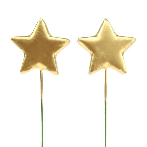 Floristik24 Sterren op draad voor knutselen goud 5cm L23cm 48 st